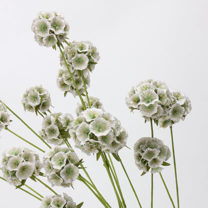 Faux Sage Green Ball Dianthus Stem — 6 Heads