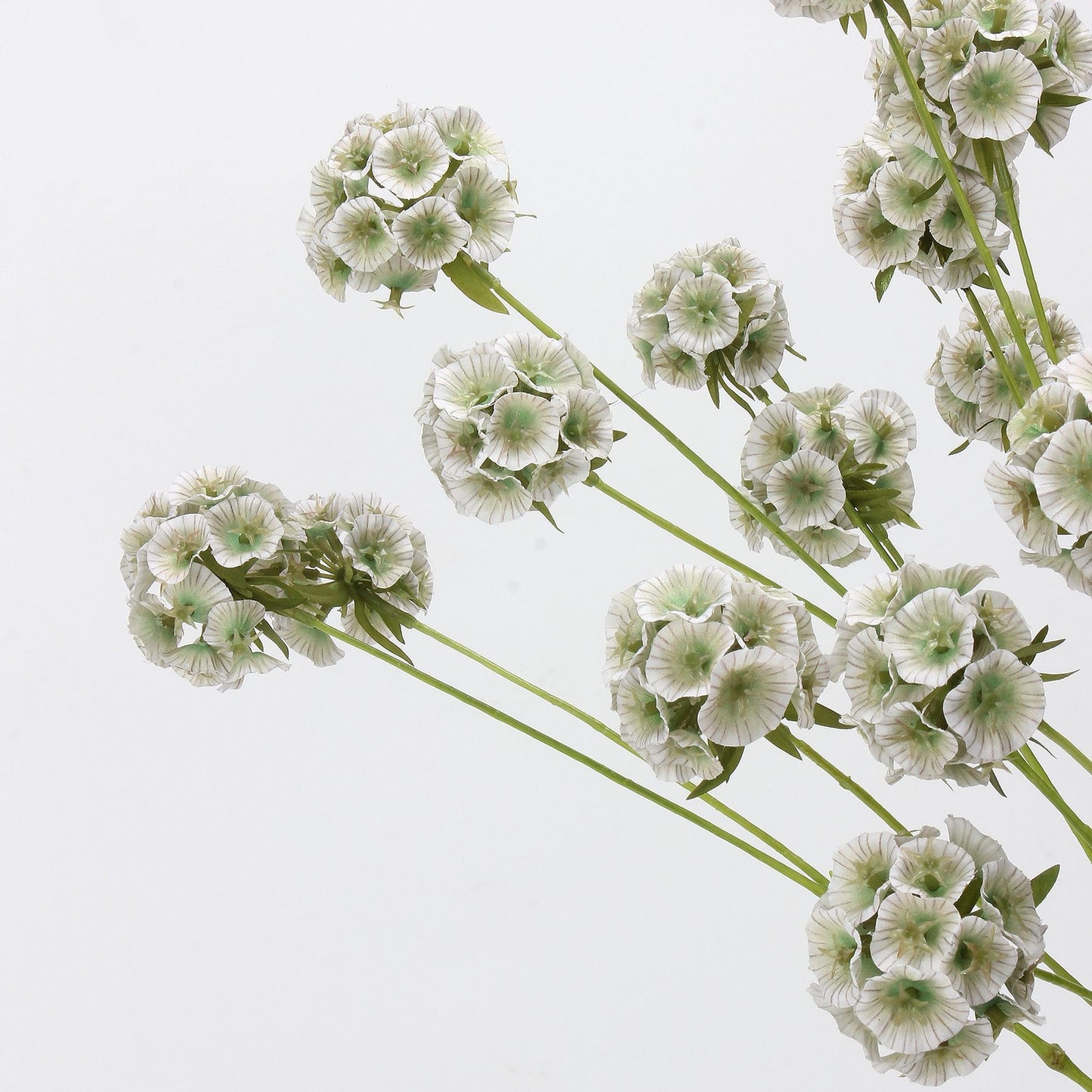 Faux Sage Green Ball Dianthus Stem — 6 Heads