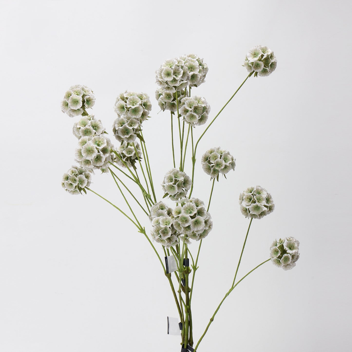 Faux Sage Green Ball Dianthus Stem — 6 Heads