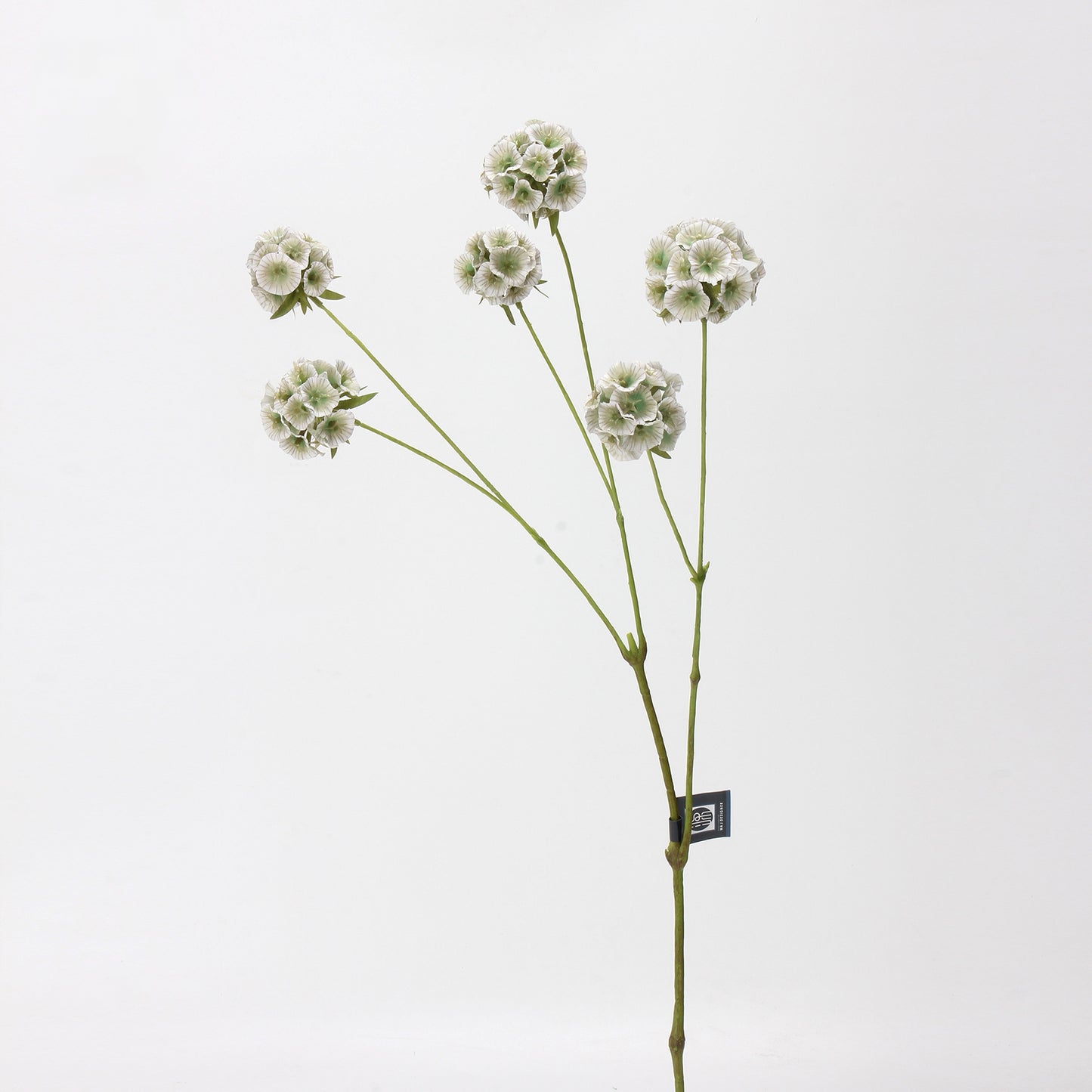 Faux Sage Green Ball Dianthus Stem — 6 Heads