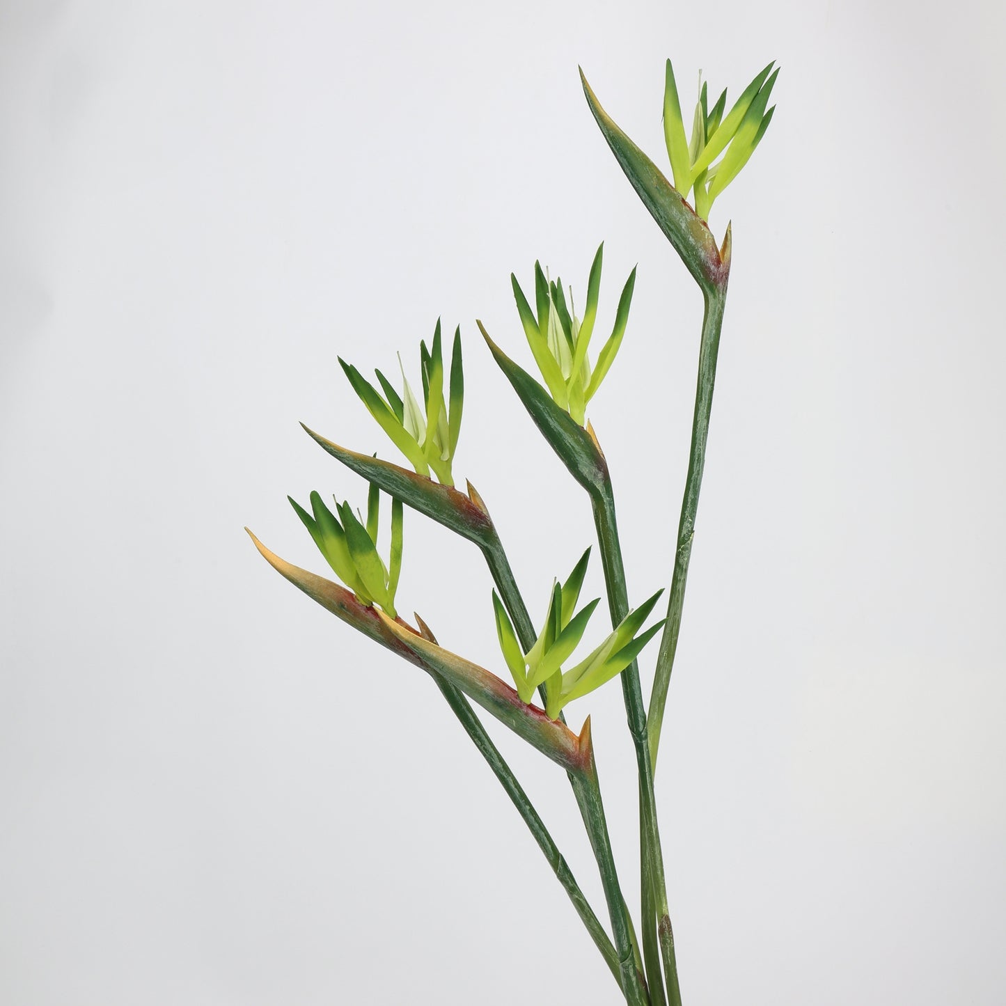 Real Touch Green Bird of Paradise Stem — 31"
