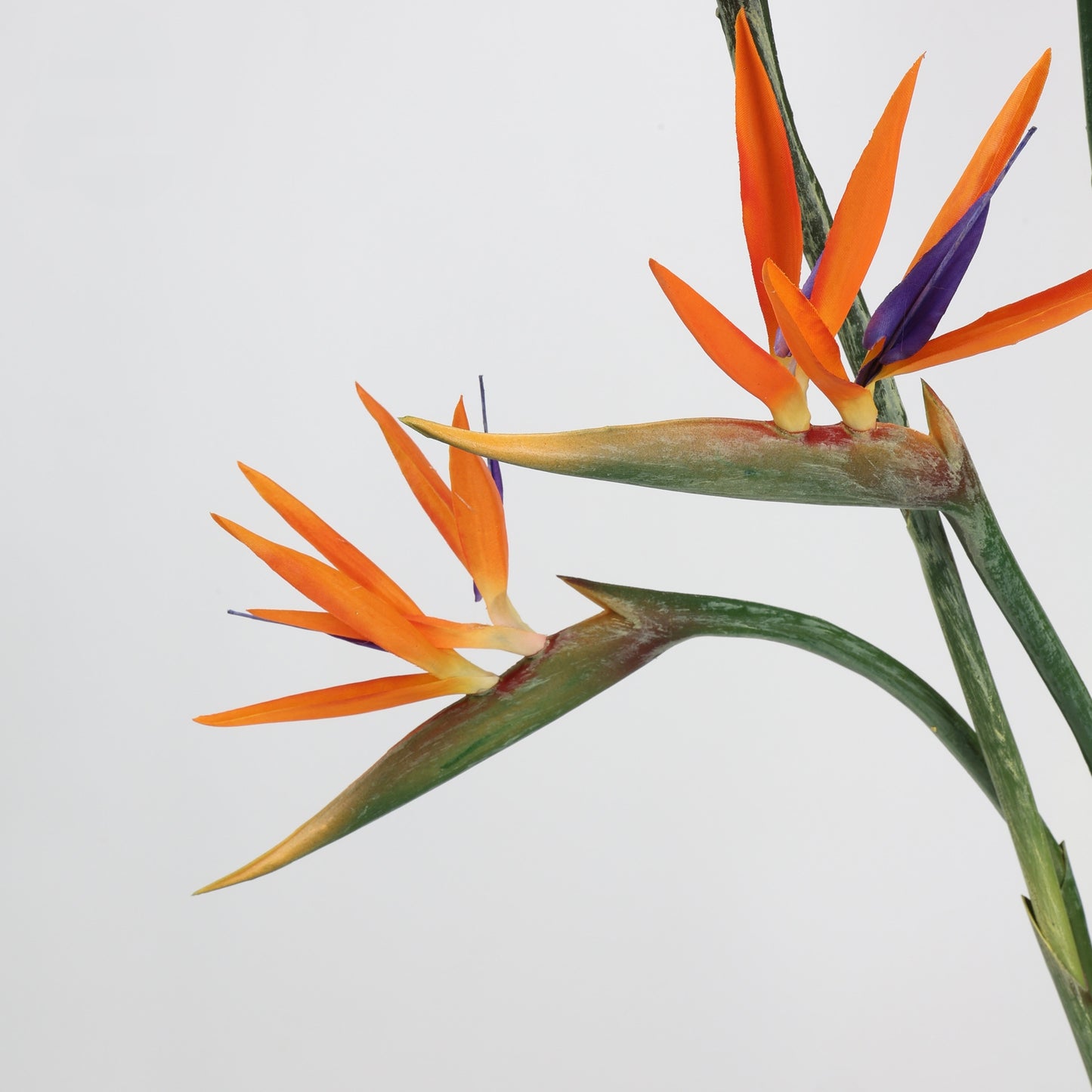 Real Touch Orange Bird of Paradise Stem — 31"