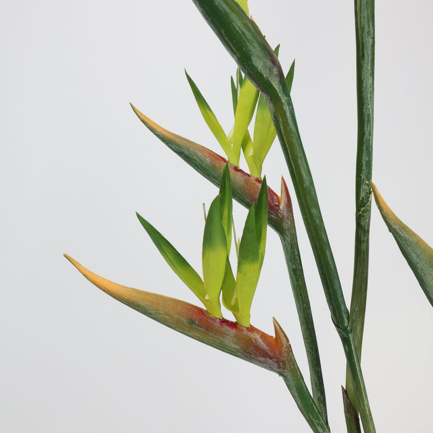 Real Touch Green Bird of Paradise Stem — 31"