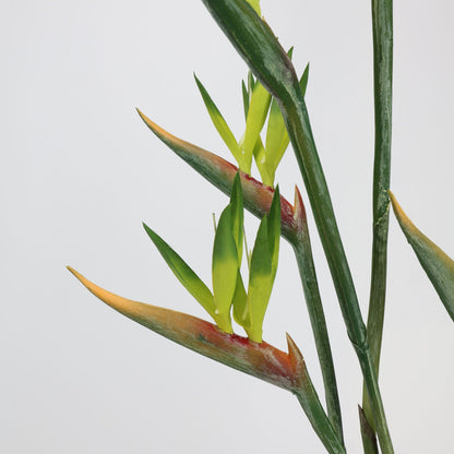 Real Touch Green Bird of Paradise Stem — 31"