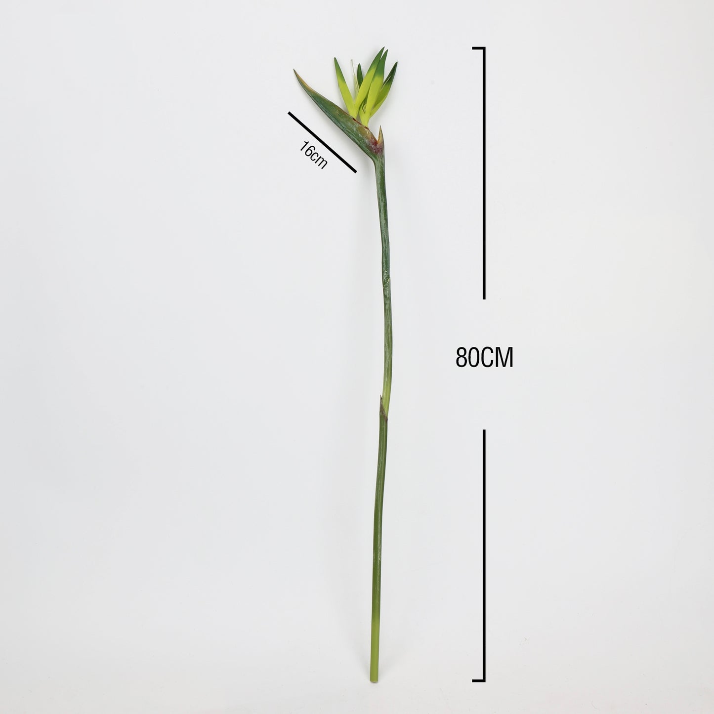 Real Touch Green Bird of Paradise Stem — 31"