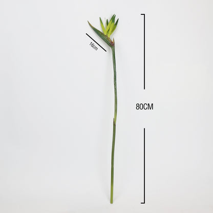 Real Touch Green Bird of Paradise Stem — 31"