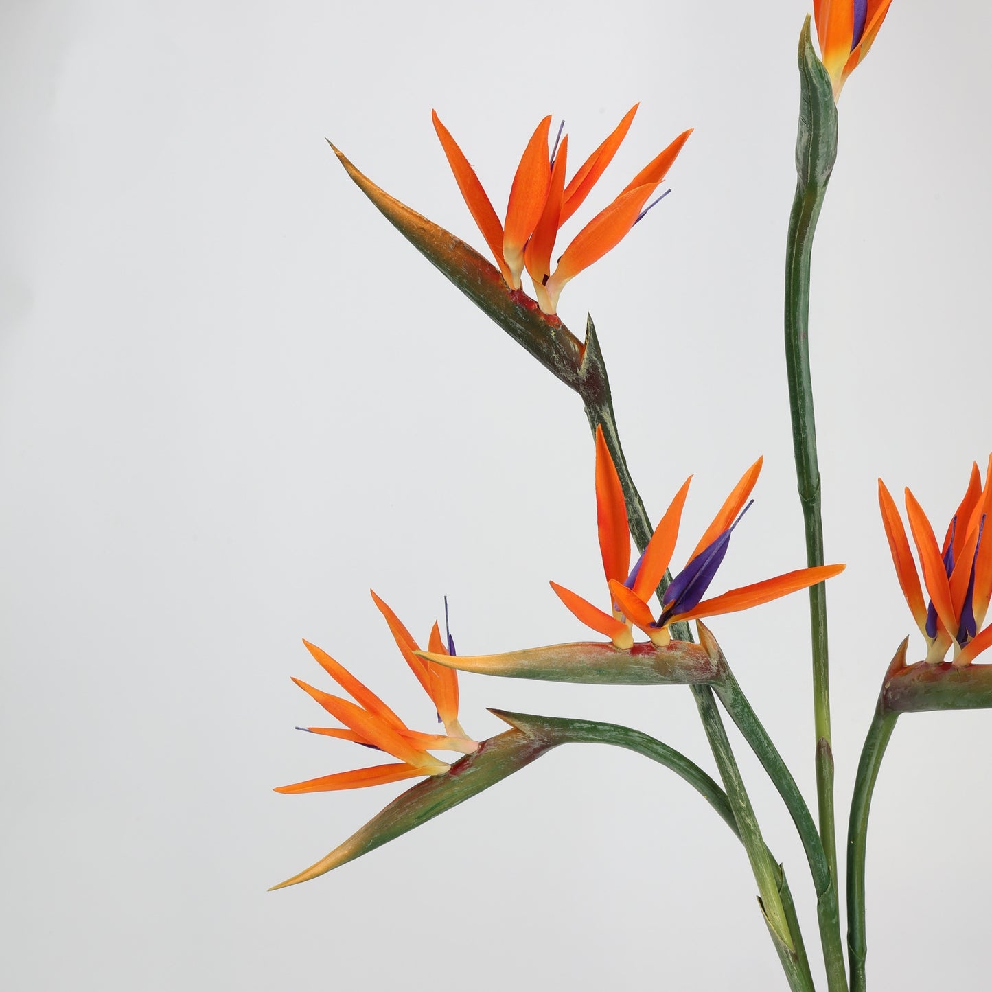 Real Touch Orange Bird of Paradise Stem — 31"