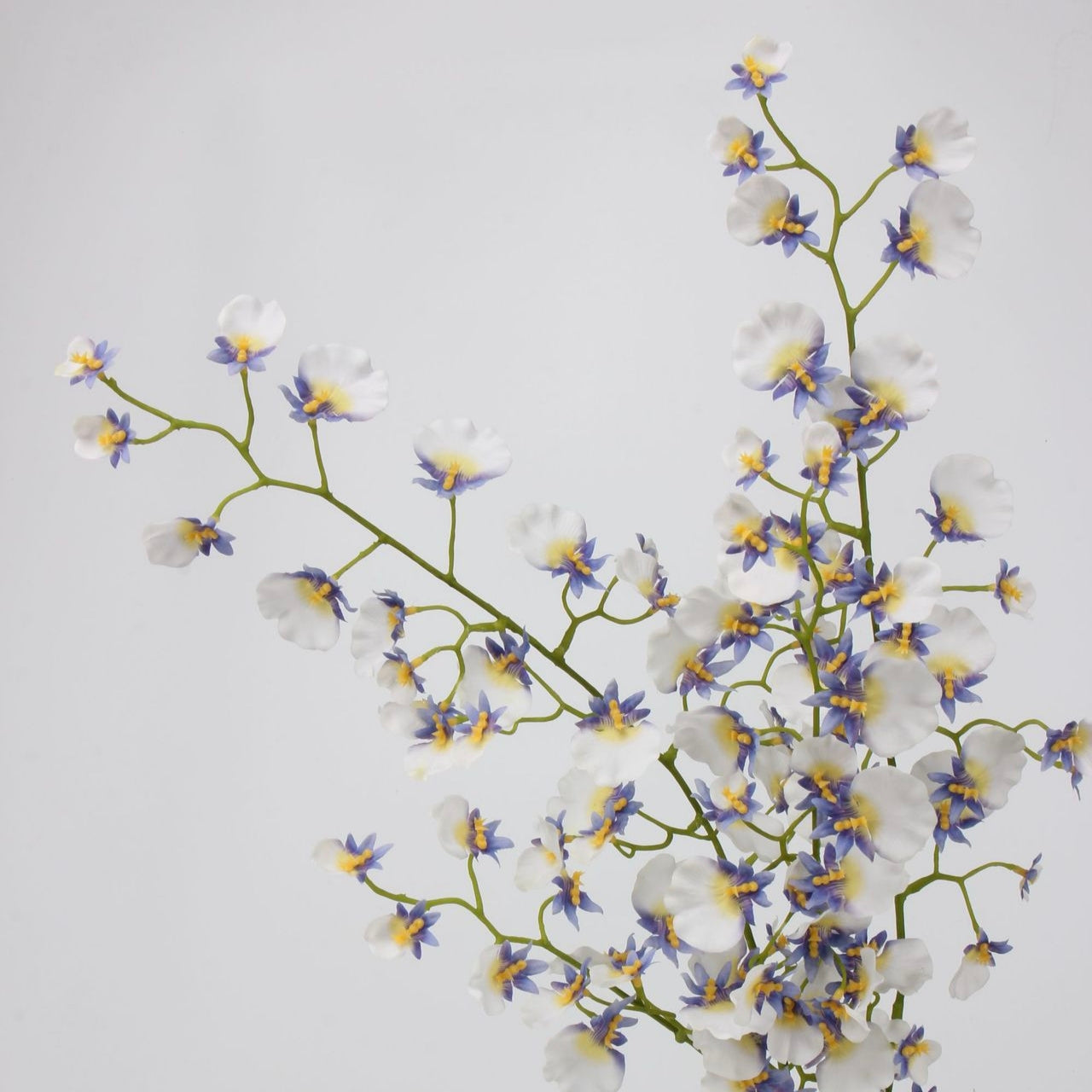 Real Touch White Lavender Dancing Orchid Stem — 2 Branches