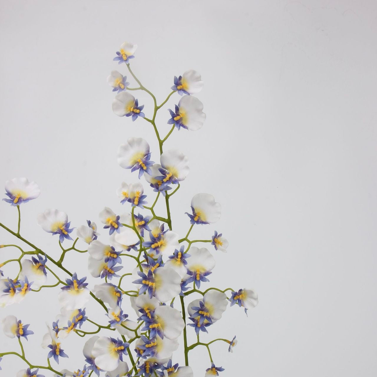 Real Touch White Lavender Dancing Orchid Stem — 2 Branches