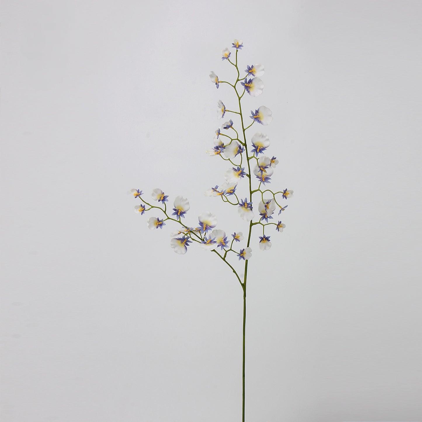 Real Touch White Lavender Dancing Orchid Stem — 2 Branches