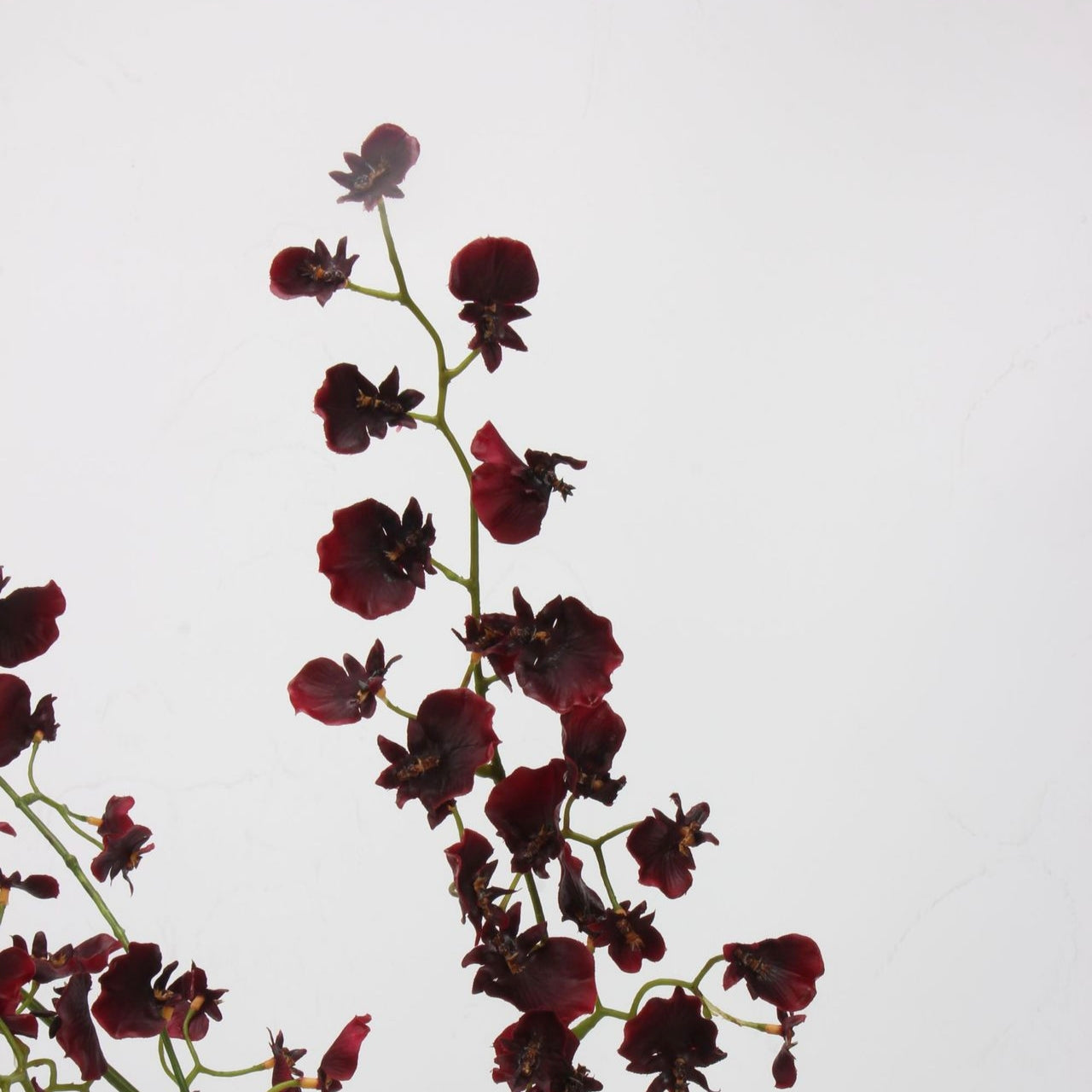 Real Touch Burgundy Dancing Orchid Stem — 2 Branches