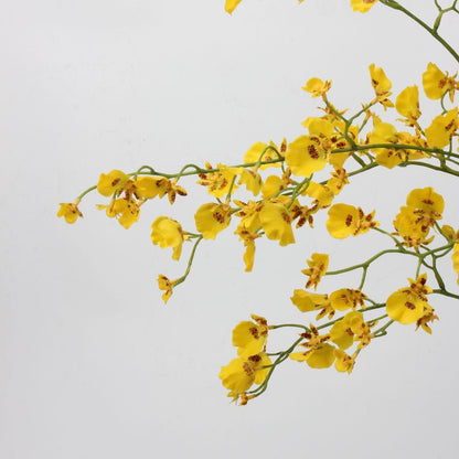 Real Touch Yellow Dancing Orchid Stem — 2 Branches