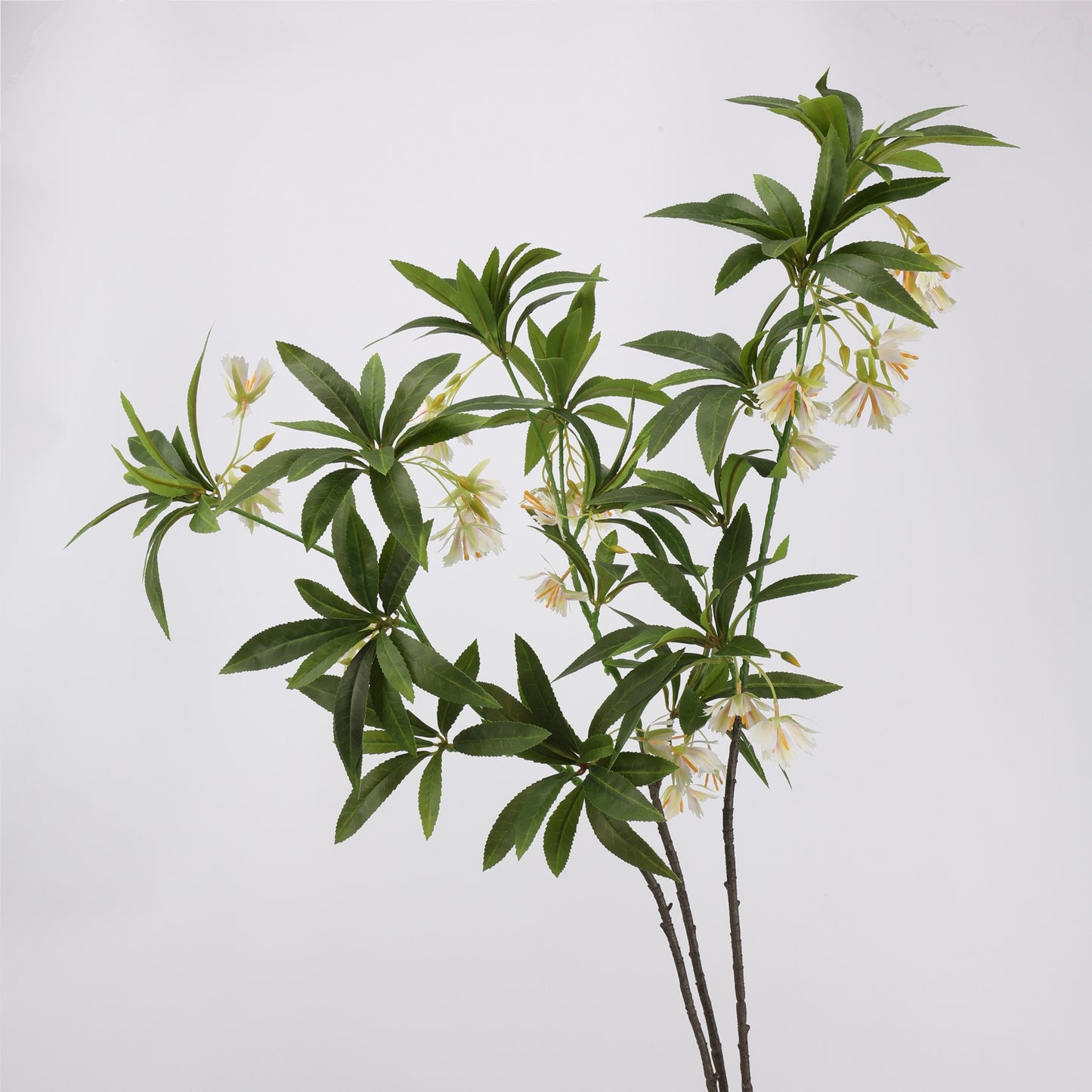 Faux White Elaeocarpus Stem - 36"
