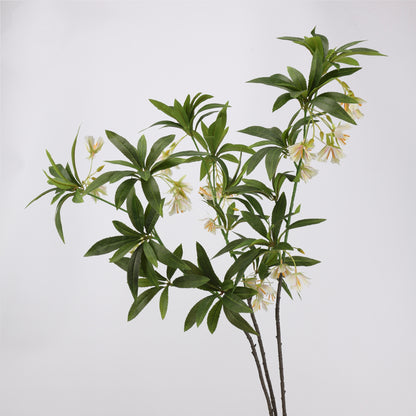 Faux White Elaeocarpus Stem - 36"