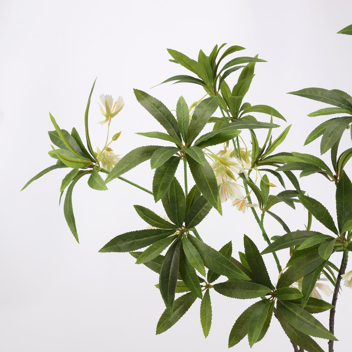 Faux White Elaeocarpus Stem - 36"