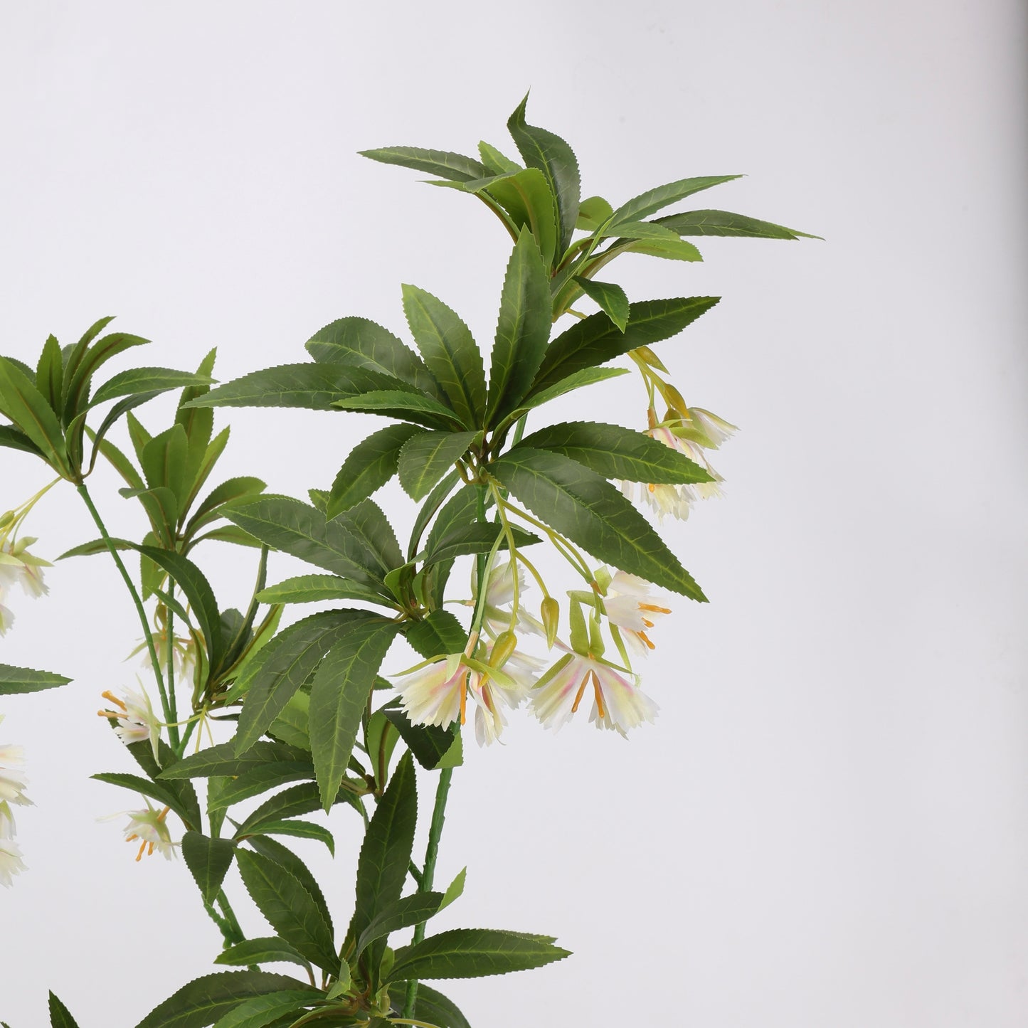 Faux White Elaeocarpus Stem - 36"