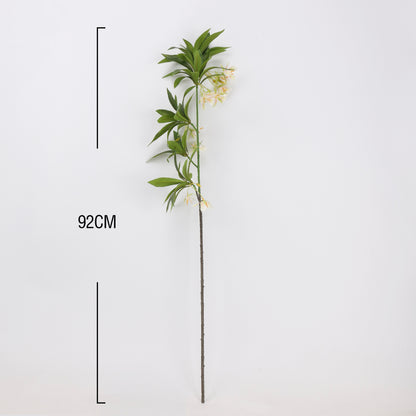 Faux White Elaeocarpus Stem - 36"