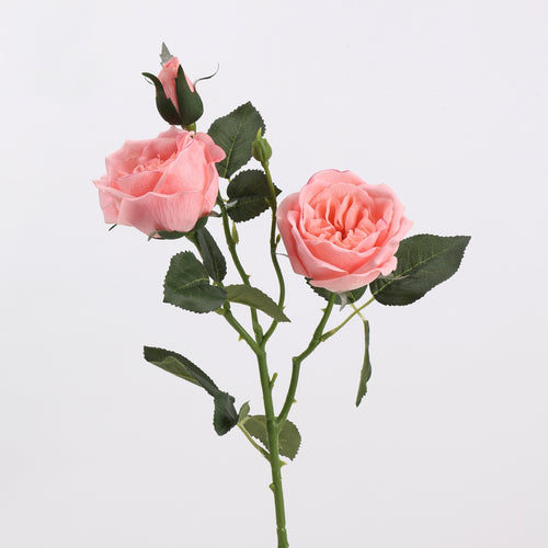 Real Touch Faux Pink Garden Rose Stem - 21"