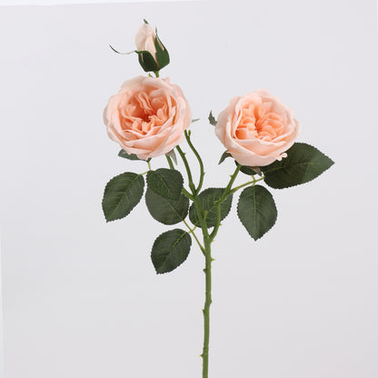 Real Touch Peach Garden Rose Stem 21"