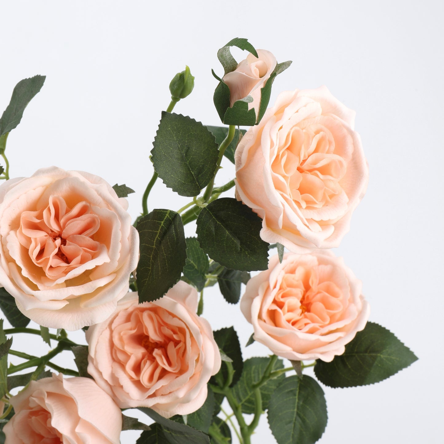 Real Touch Peach Garden Rose Stem 21"