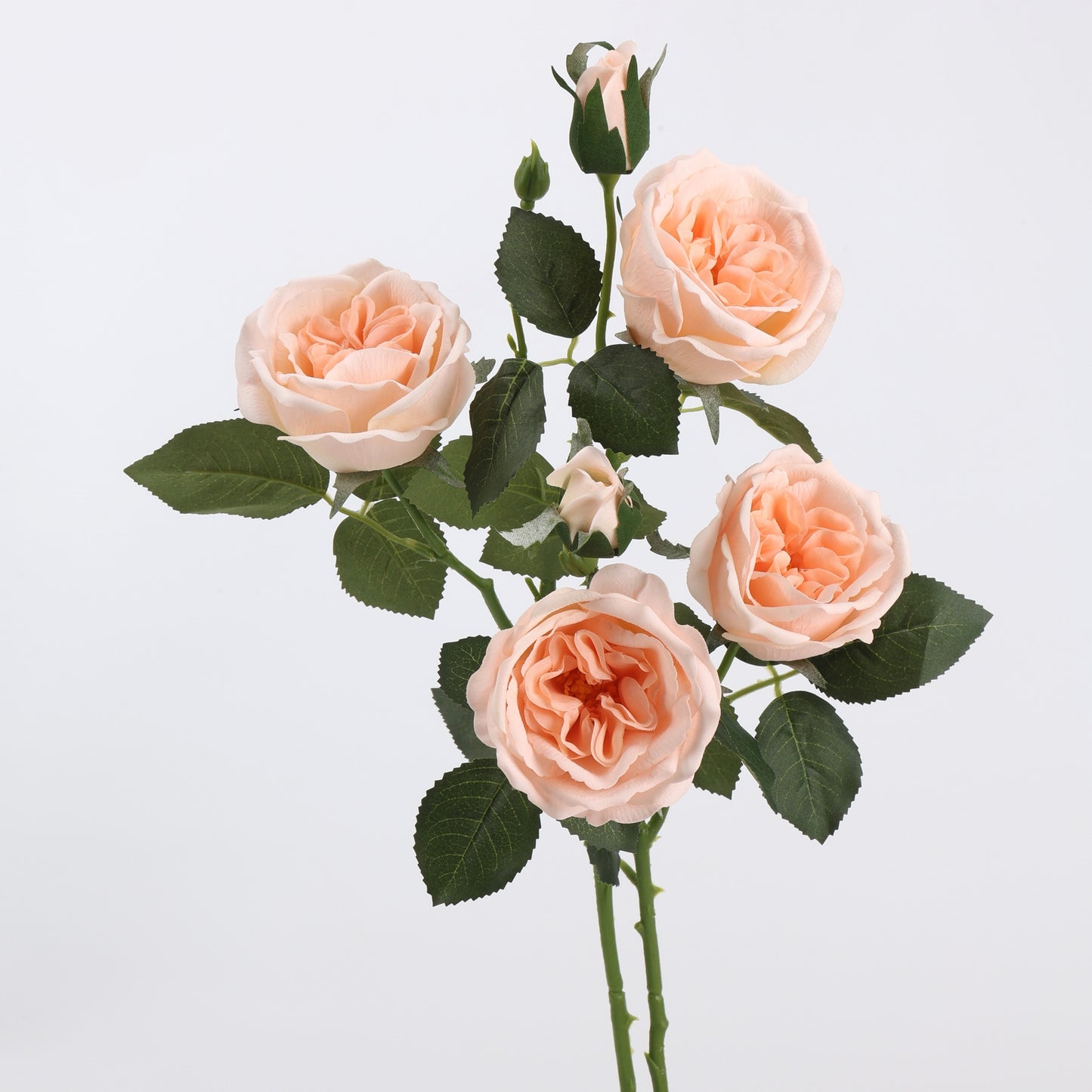Real Touch Peach Garden Rose Stem 21"