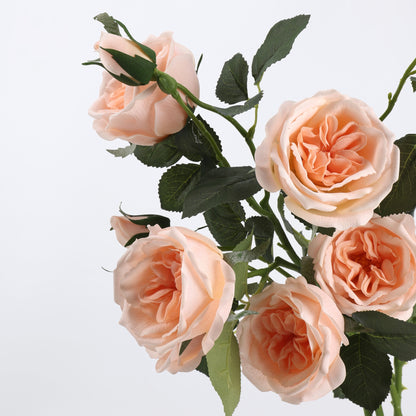 Real Touch Peach Garden Rose Stem 21"