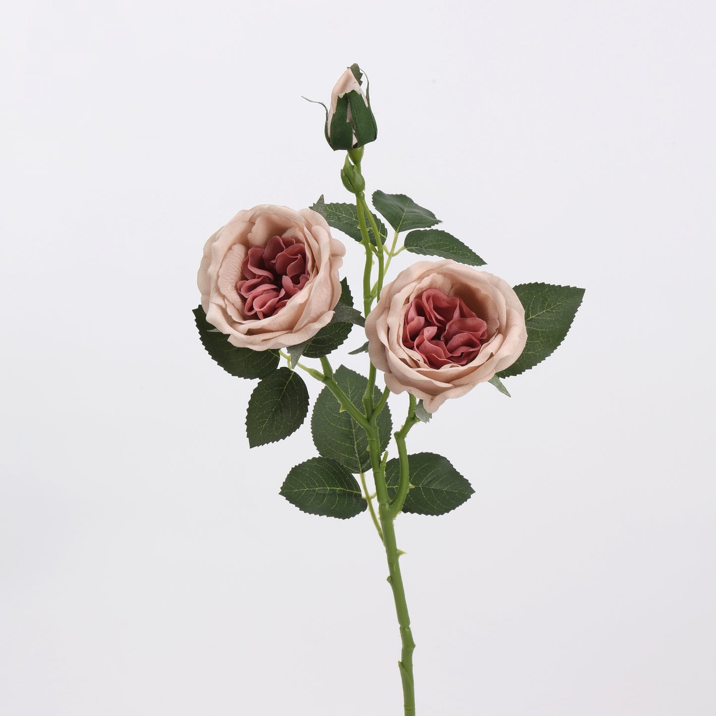 Real Touch Dusty Rose Garden Rose Stem 21"