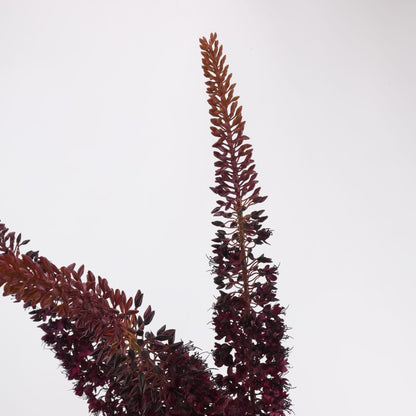 Real Touch Burgundy Veronicastrum Spike Stem 41"