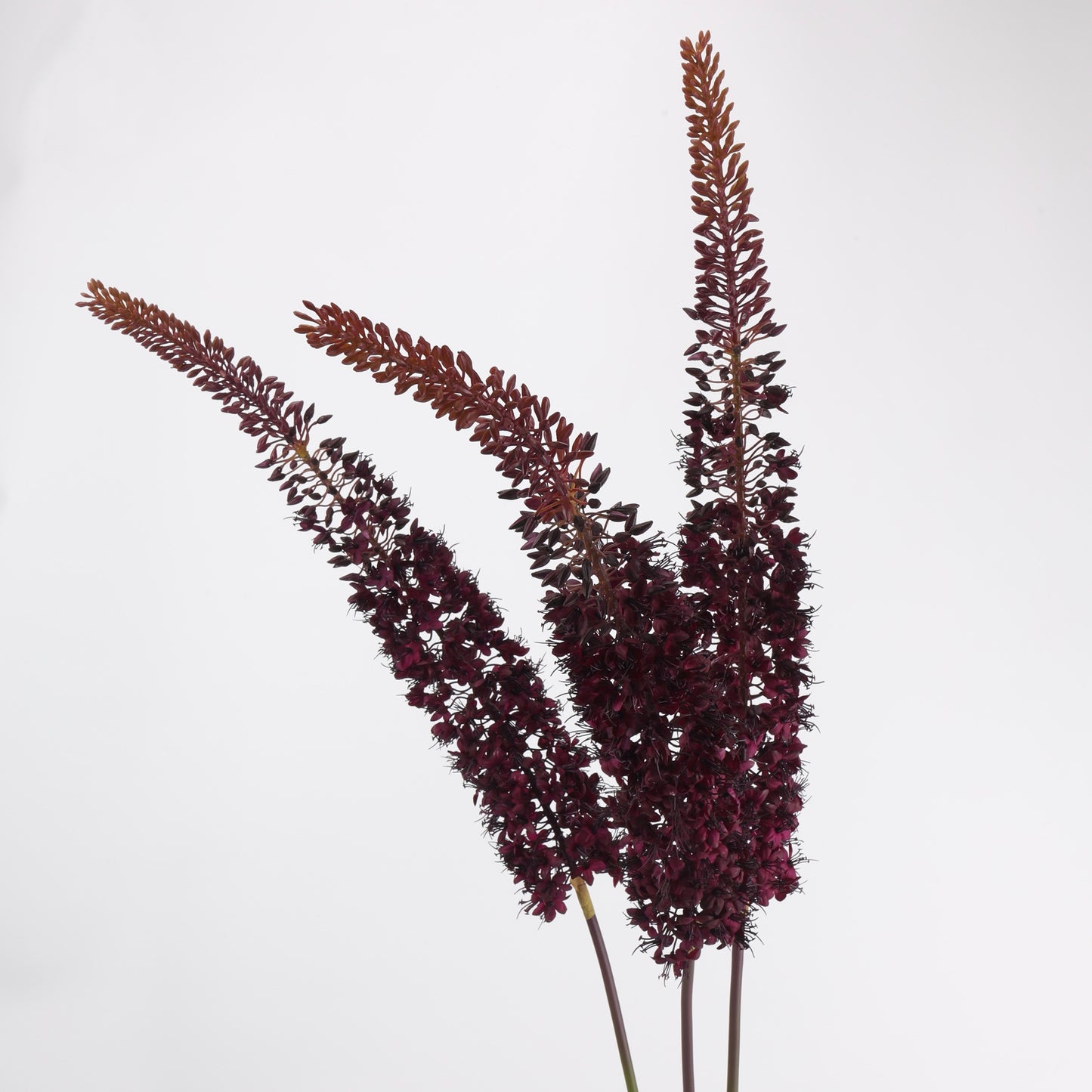 Real Touch Burgundy Veronicastrum Spike Stem 41"