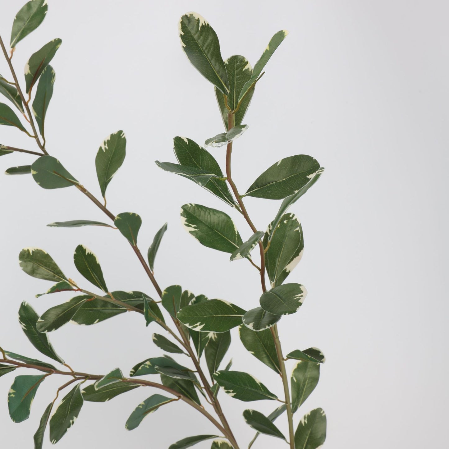 Faux Variegated Buxus Branch Stem 44"