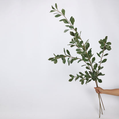 Faux Variegated Buxus Branch Stem 44"