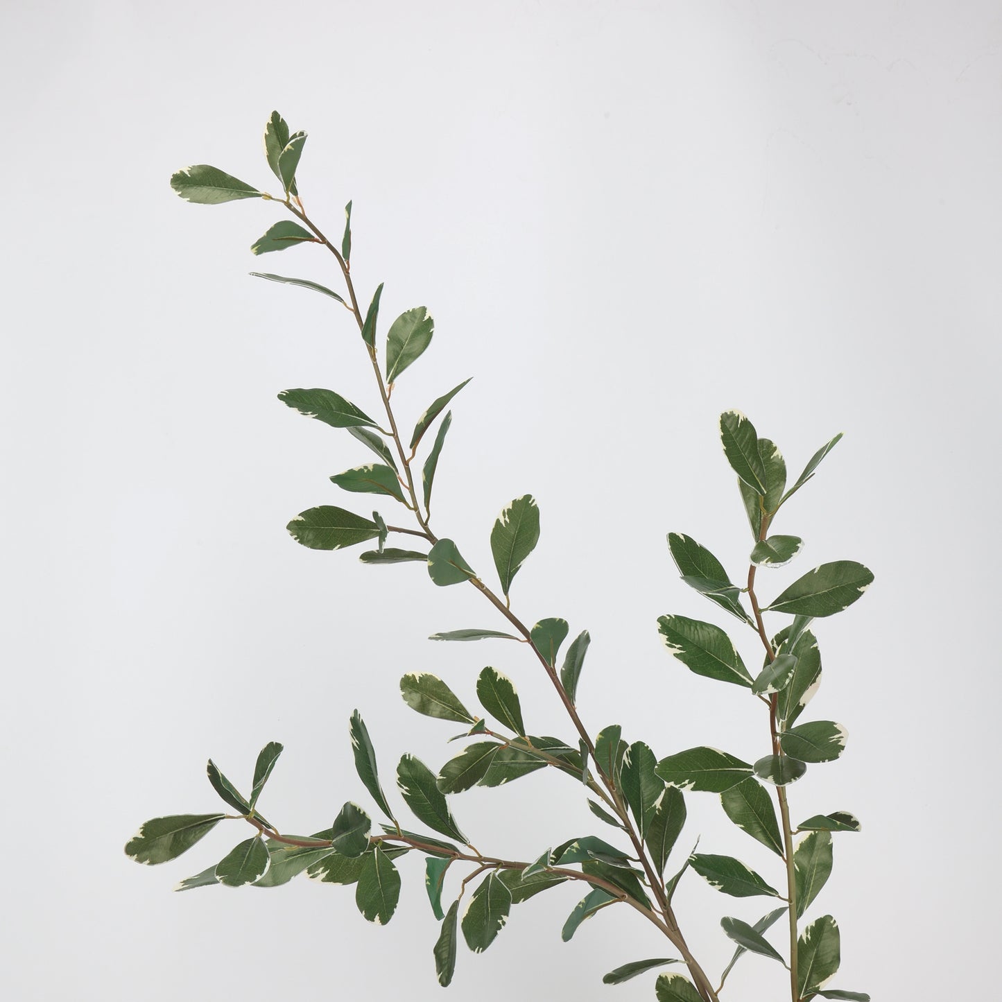 Faux Variegated Buxus Branch Stem 44"
