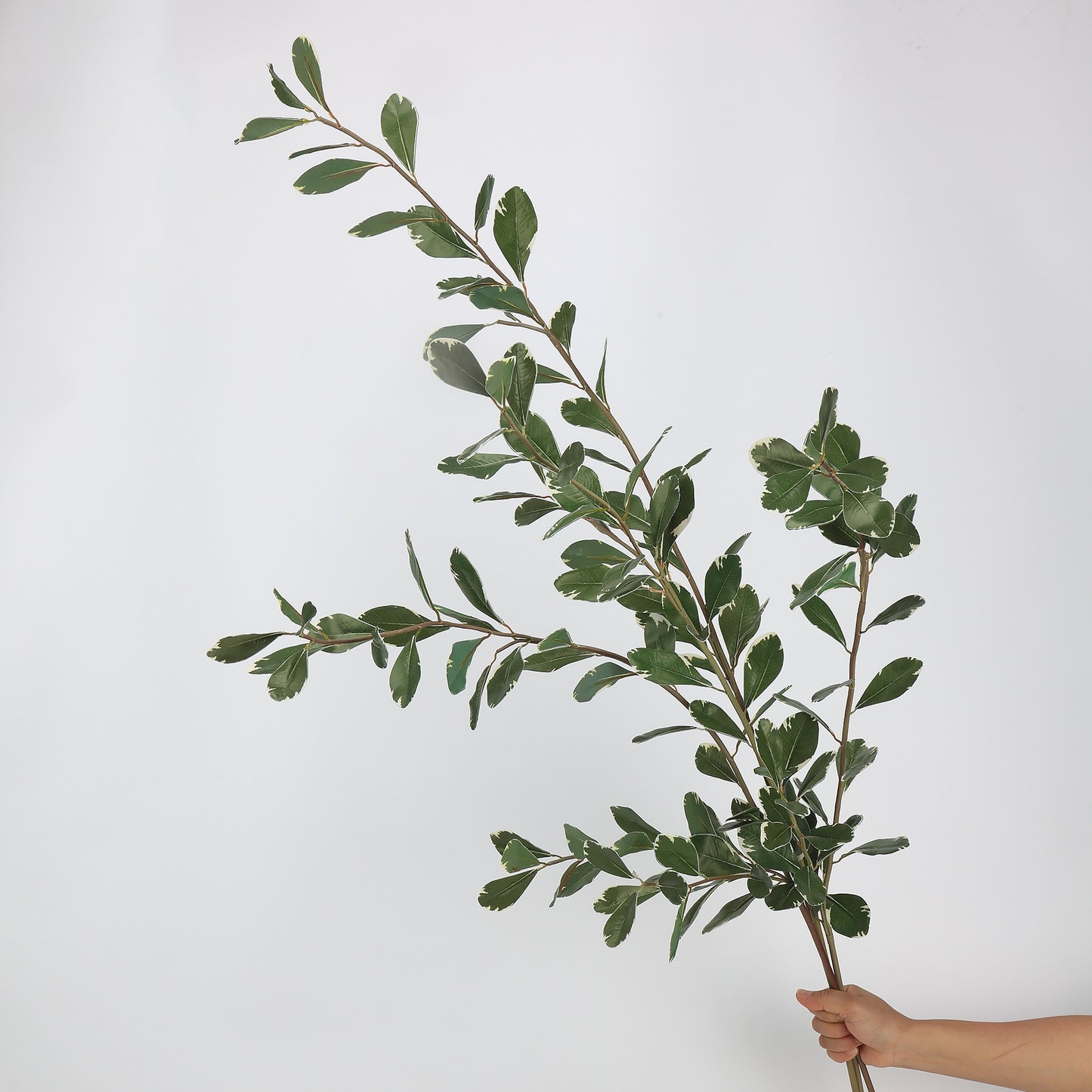 Faux Variegated Buxus Branch Stem 44"