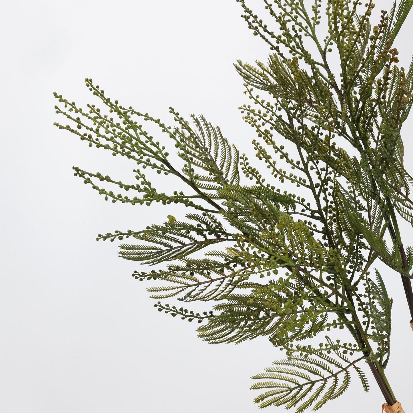 Faux Green Mimosa Acacia Branch Stem 27"