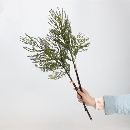 Faux Green Mimosa Acacia Branch Stem 27"