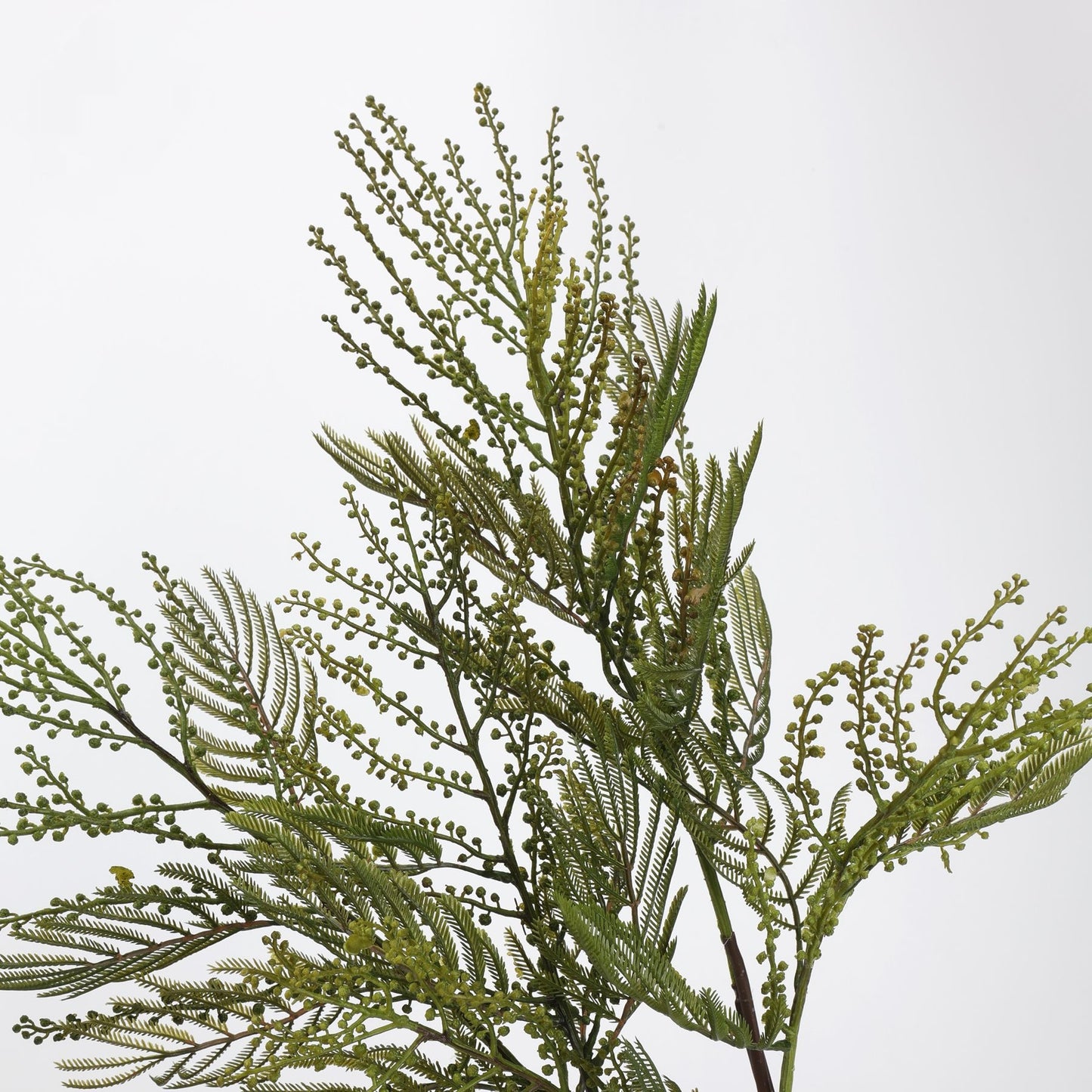 Faux Green Mimosa Acacia Branch Stem 27"