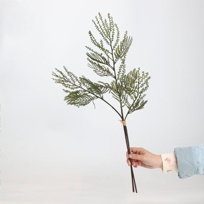 Faux Green Mimosa Acacia Branch Stem 27"