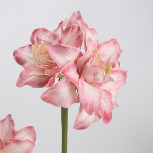 Real Touch Pink Amaryllis Stem 23"