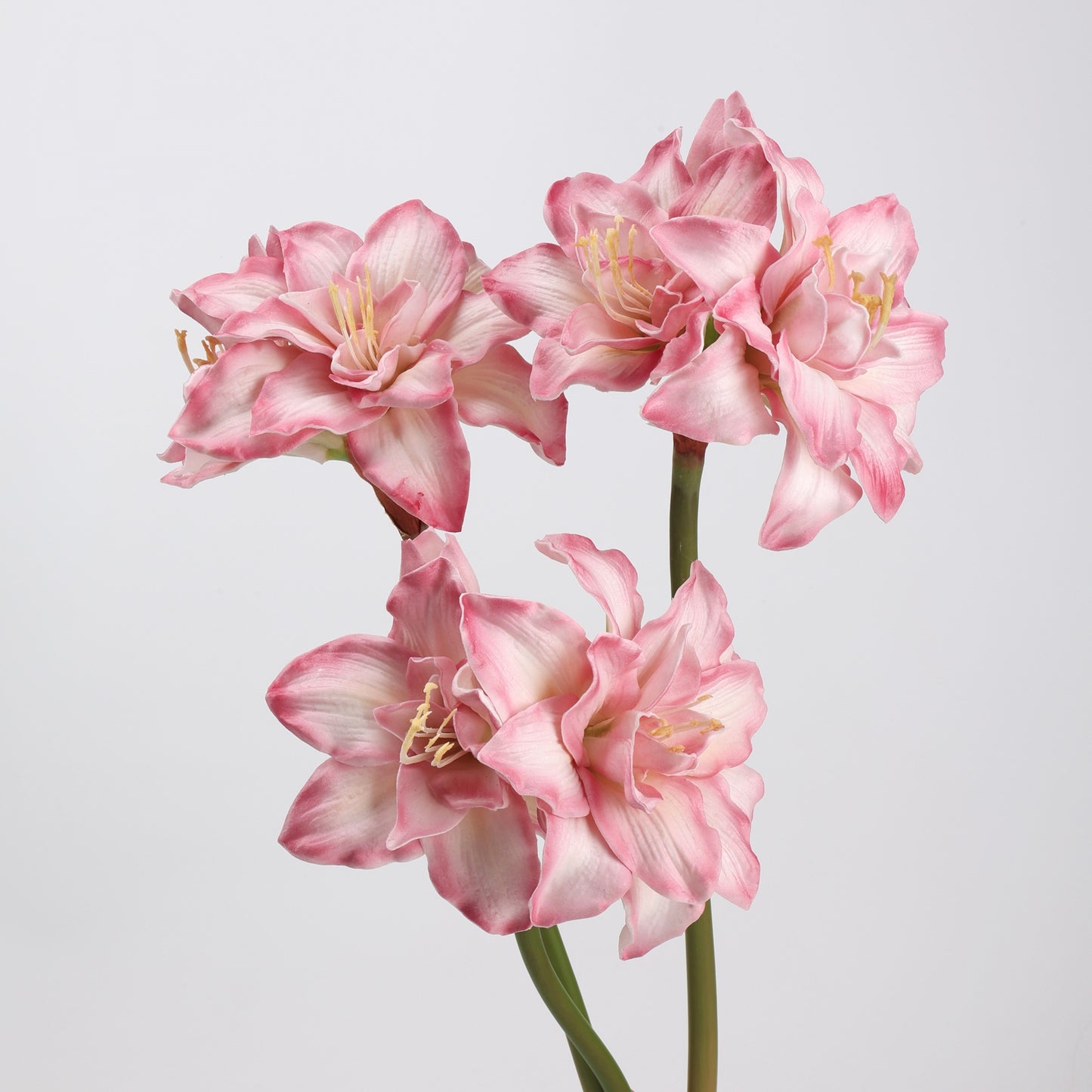 Real Touch Pink Amaryllis Stem 23"