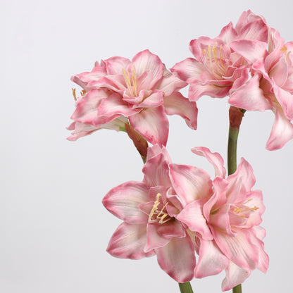 Real Touch Pink Amaryllis Stem 23"