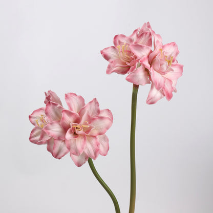 Real Touch Pink Amaryllis Stem 23"