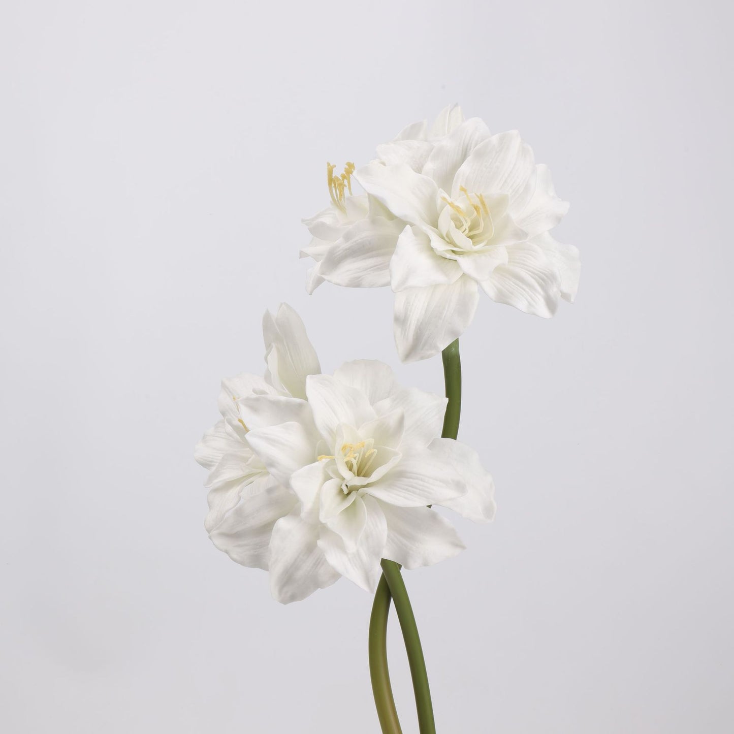 Real Touch White Amaryllis Stem 23" 1 bloom