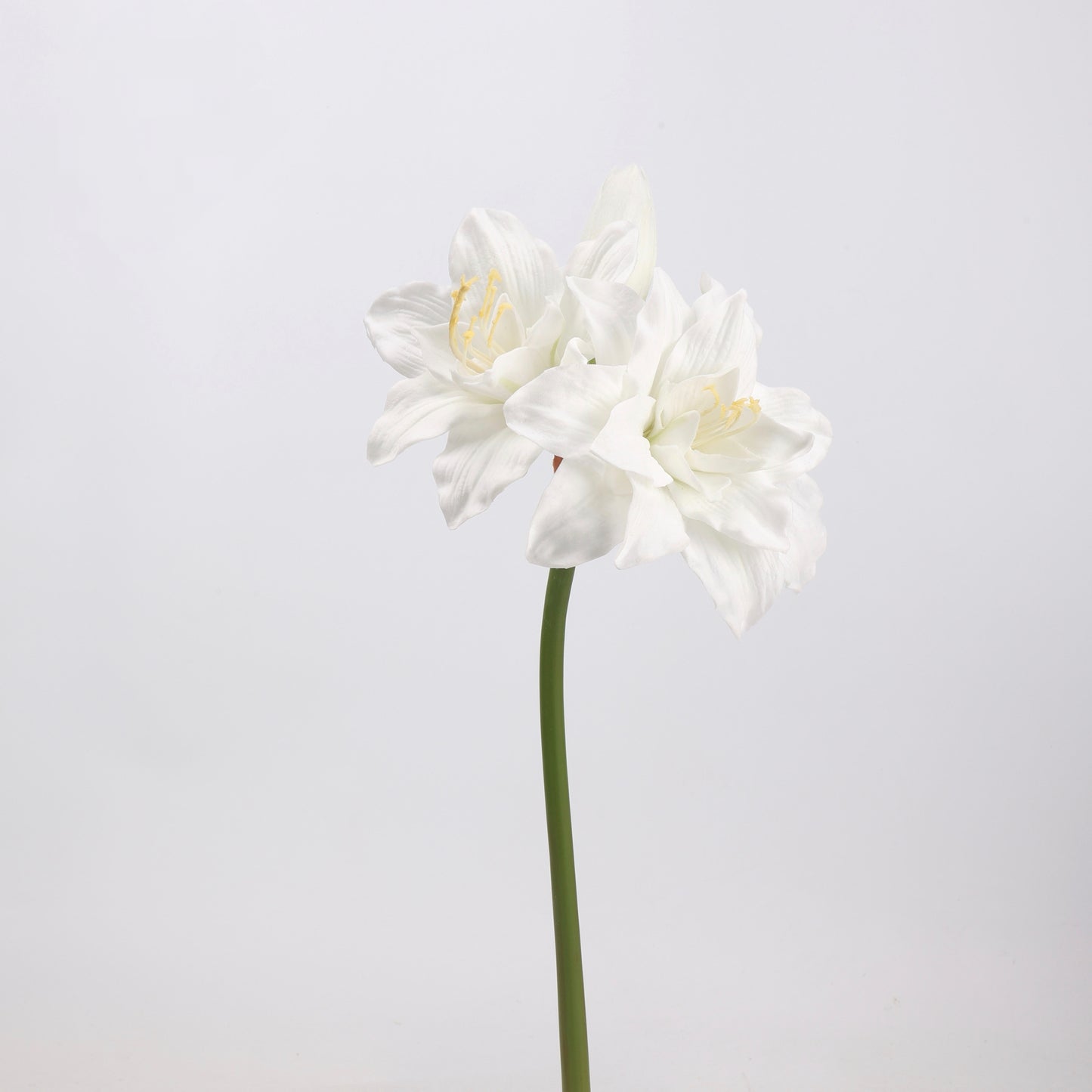 Real Touch White Amaryllis Stem 23" 1 bloom