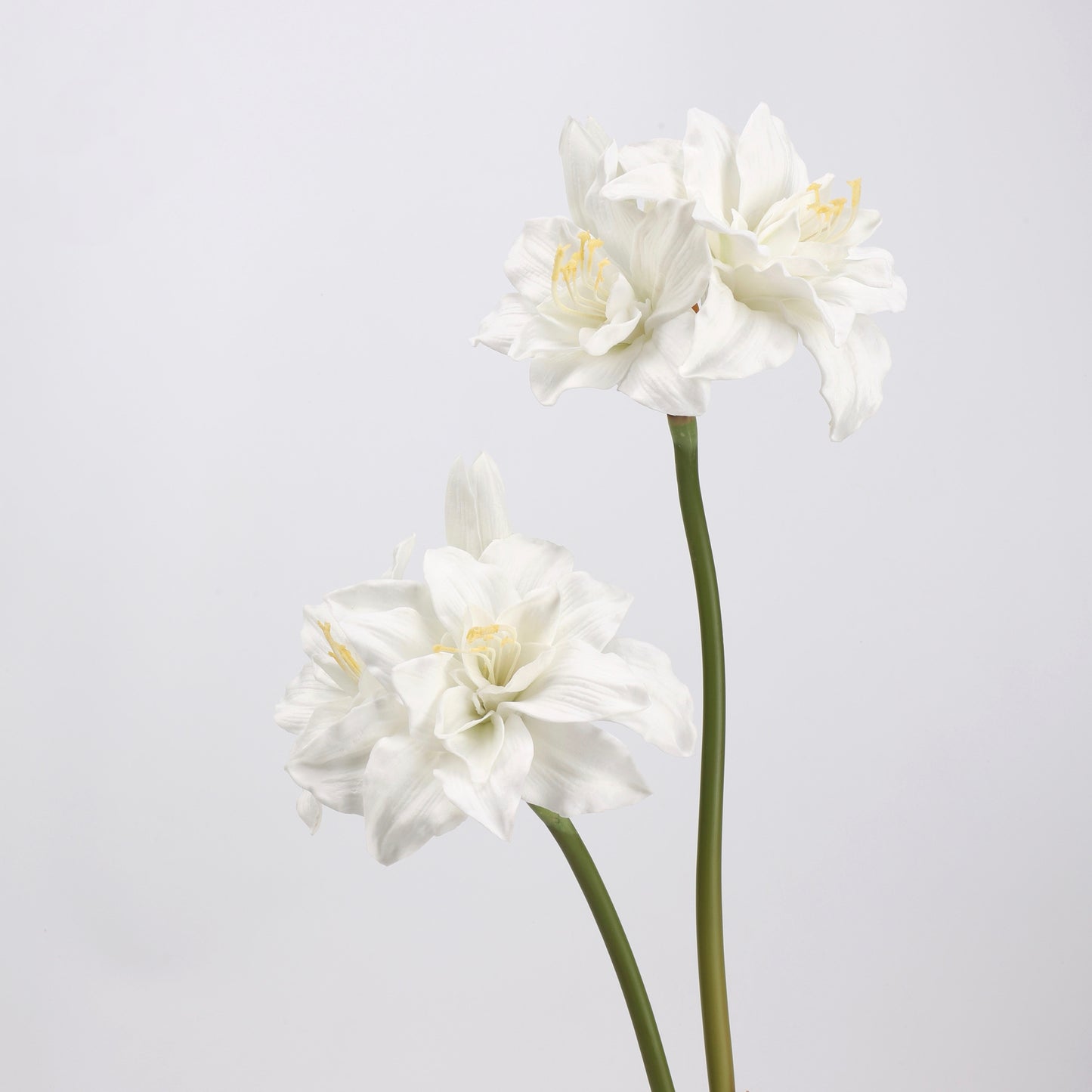 Real Touch White Amaryllis Stem 23" 1 bloom