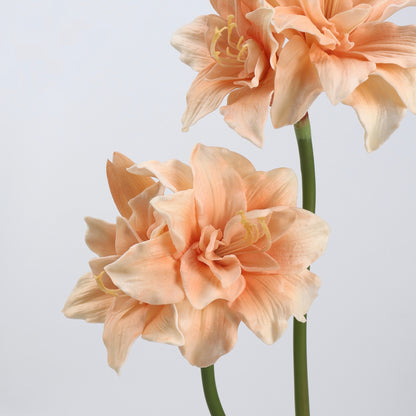 Real Touch Peach Amaryllis Stem 23"