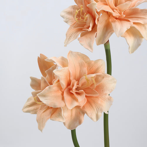 Real Touch Peach Amaryllis Stem 23"
