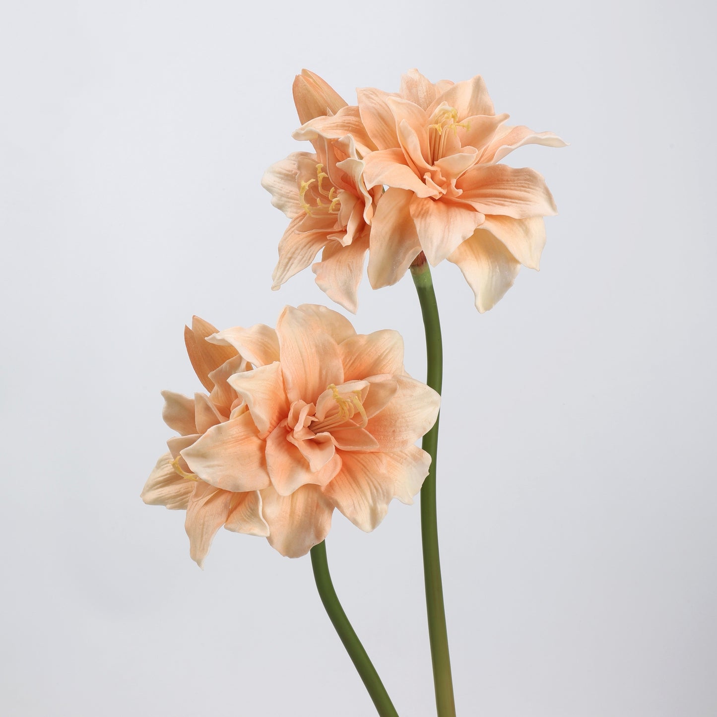 Real Touch Peach Amaryllis Stem 23"