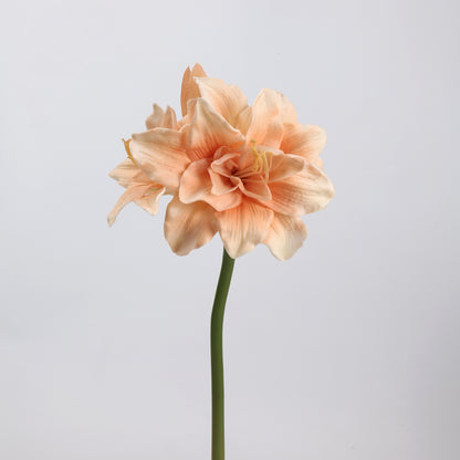 Real Touch Peach Amaryllis Stem 23"