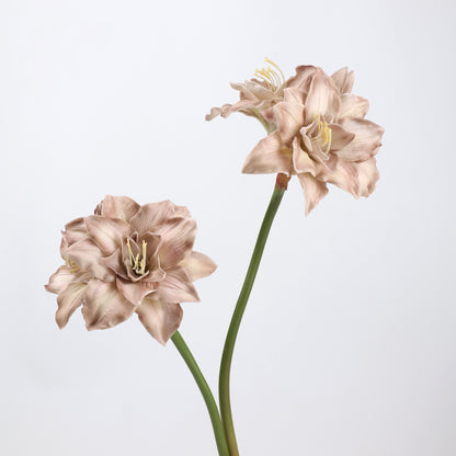 Real Touch Dusty Mauve Amaryllis Stem 23"  1 bloom