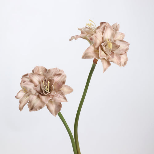 Real Touch Dusty Mauve Amaryllis Stem 23"  1 bloom